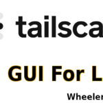 TailScaleVPN